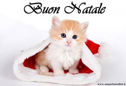 Dolci Auguri Natalizi