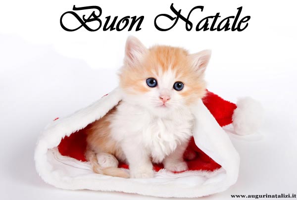 DOLCI AUGURI NATALIZI