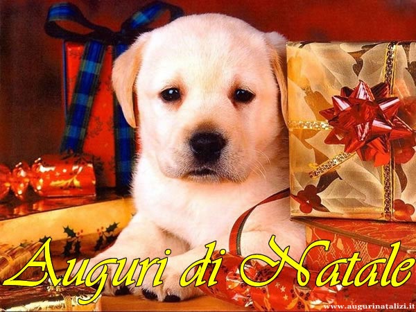 TANTI AUGURI DI NATALE